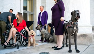 Canines unleash dog diplomacy at Capitol in push for animal protection bills