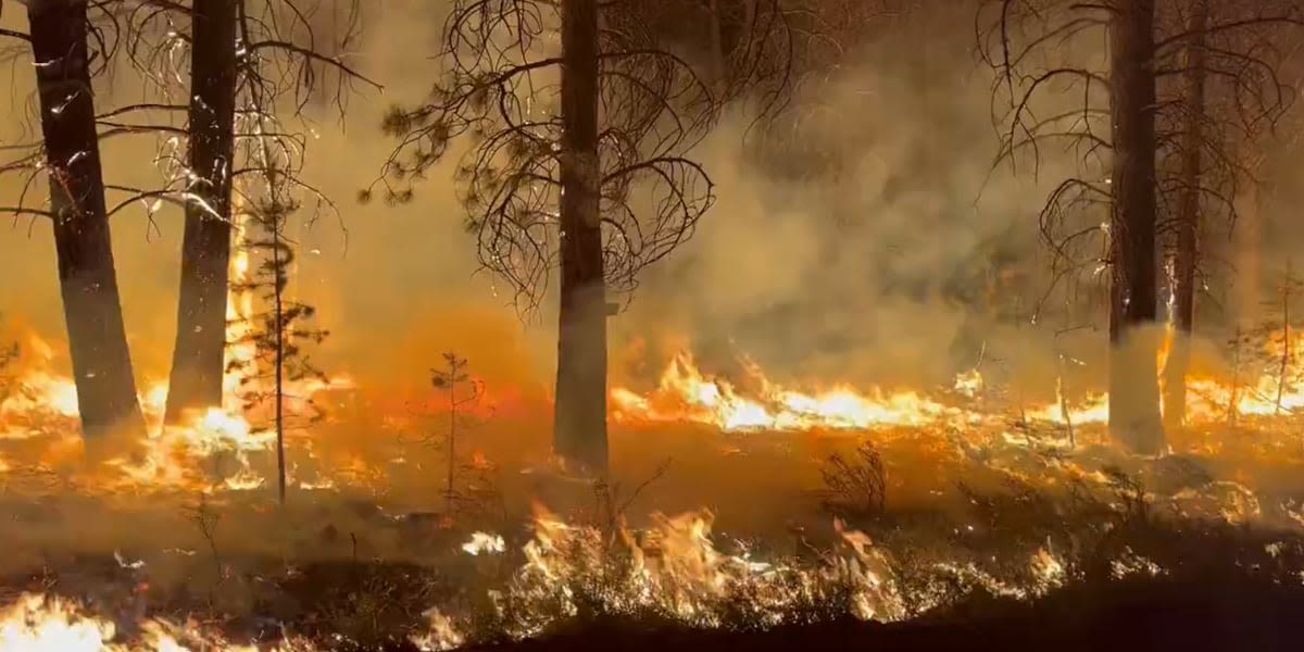 Darlene 3 Fire grows to more than 3,600 acres, now 30% contained