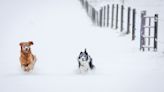 First major snowstorm of the season hitting the northern Rockies after a warm fall