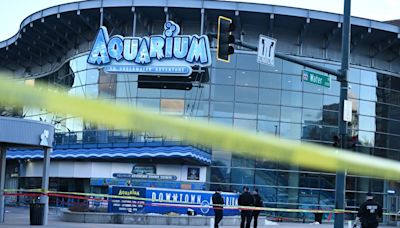 Teens charged with murder in Downtown Aquarium drive-by