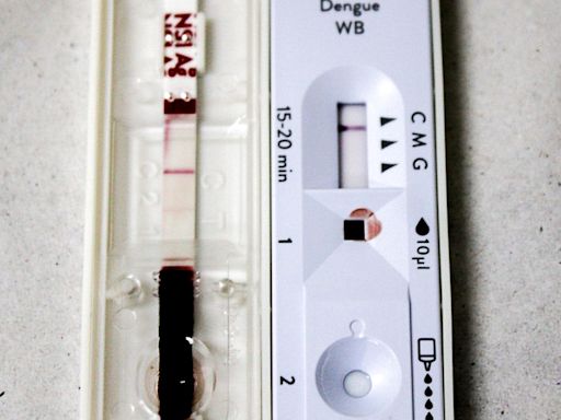 Dados de 2024 mostram que dengue mata mais mulheres e idosos em SP; estado registra mais de 680 óbitos