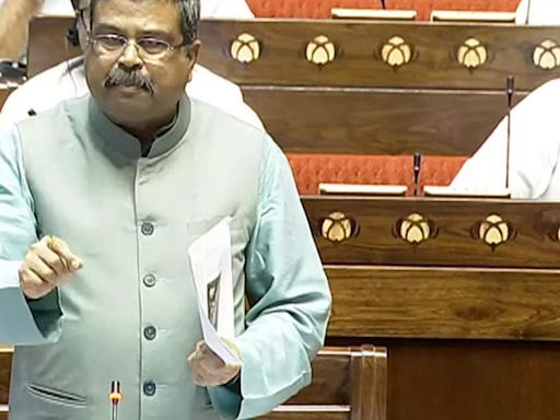 Don't create fear among Muslims: Dharmendra Pradhan to Opposition in Lok Sabha - The Economic Times