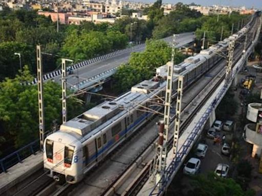 Delhi Metro's Blue Line services hit after drone found on tracks