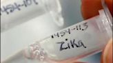 Pune health experts detect Zika virus in mosquito pools, larvae samples