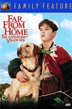 Far from Home: The Adventures of Yellow Dog