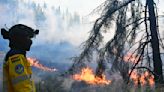 Incendios quemaron 230 hectáreas del Parque Tunari, 30% sector de bosques