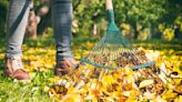 These gadgets might just make you fall in love with raking leaves