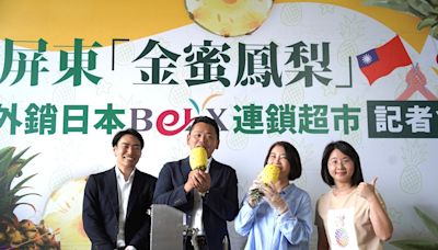 屏東「金蜜鳳梨」封櫃外銷日本BELX超市