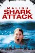 Shark Attack – Sie lauern in der Tiefe!