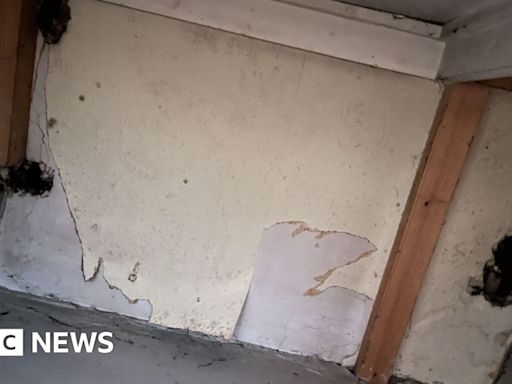 Rats chewing through house ceiling 'like horror movie'