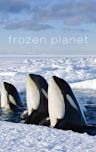 Frozen Planet