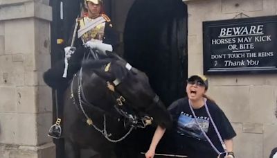 Tourist posing for a photo faints when King's Guard horse BITES her