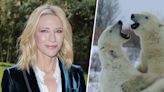 EXCLUSIVE: See a preview of 'Our Living World', Netflix nature doc narrated by Cate Blanchett