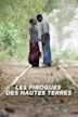 Les pirogues des hautes terres