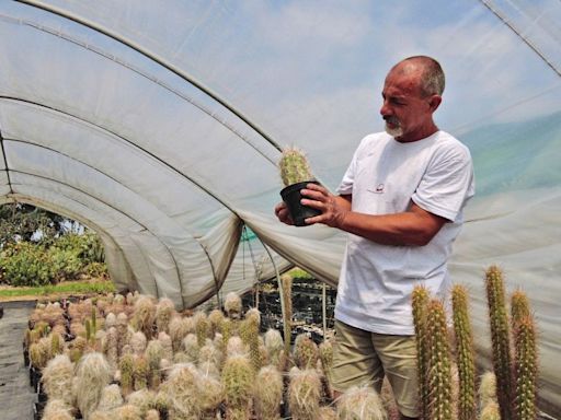 Un italiano es denunciado por contrabando de cactus por una ONG