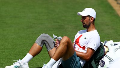 History not FOMO motivating Djokovic at Wimbledon