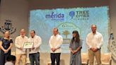 Tlalpan recibe reconocimiento como Ciudad Árbol del Mundo