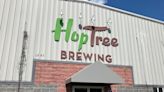 Is Hop Tree Brewing Co. closed?