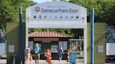 Massive Seneca Park Zoo expansion outlined in Adam Bello's state of the county address