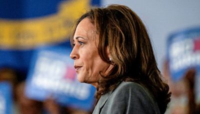'Ludicrous': Donors leave call with Kamala Harris frustrated
