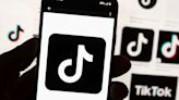 TikTok has promised to sue over the potential US ban. What’s the legal outlook?