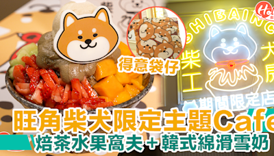 【旺角Cafe】柴犬工房限定主題超可愛！焙茶水果窩夫＋韓式綿滑雪奶 | HolidaySmart 假期日常