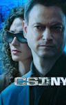 CSI: NY - Season 4