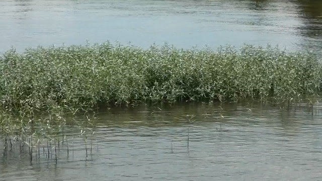 Virginia Department of Health declares Lake Anna outbreak over