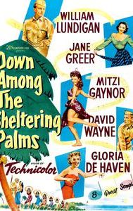 Down Among the Sheltering Palms (film)