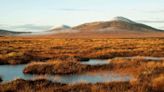 The candidates for Caithness, Sutherland and Easter Ross say why they should represent the UK’s most northerly mainland constituency