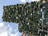 Bosco Verticale