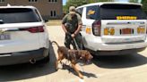 A boy was found wandering on a North Carolina road. A police dog helped reunite him with his family