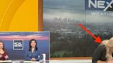 CBS Los Angeles Meteorologist Alissa Carlson Collapses In Frightening Scene On Live TV