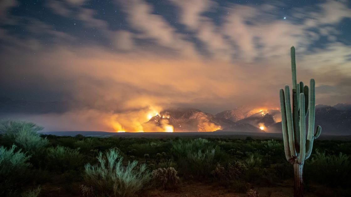 Increase of wildfires in saguaro-studded desert 'really alarming,' report warns