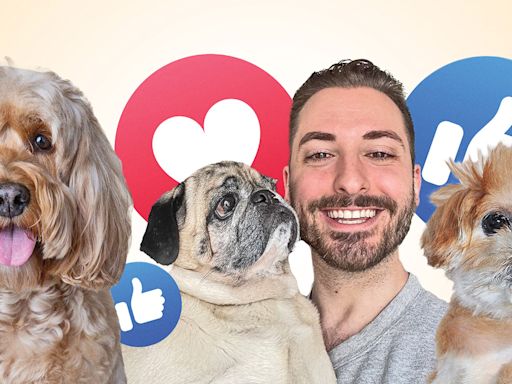 All Dogs Go to Heaven, But Some Pet Influencers Live Forever Online