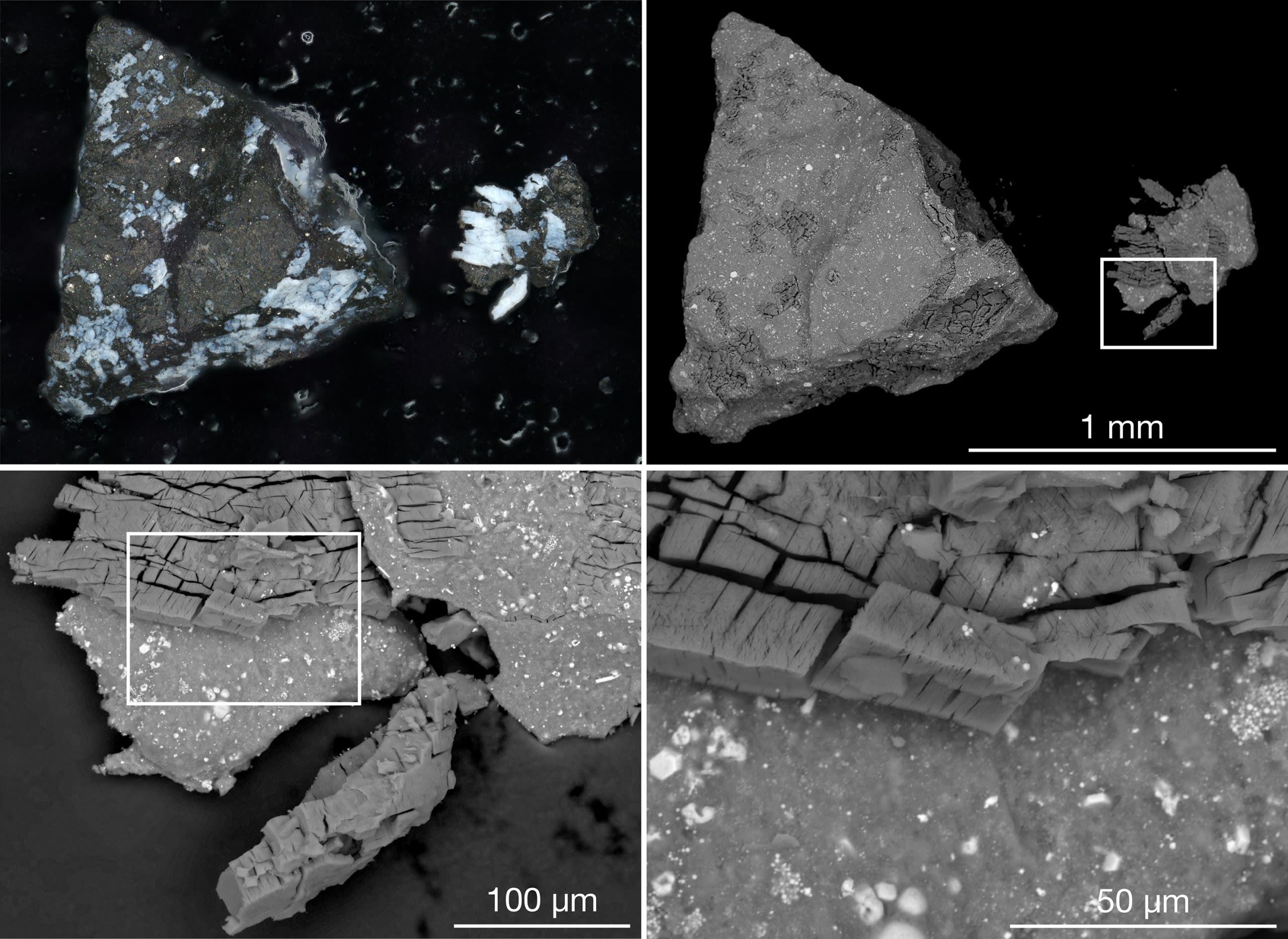 Asteroid Sample Surprise: Bennu Holds the Solar System’s “Original Ingredients”