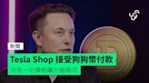 Tesla Shop 接受狗狗幣付款 消息一出價格飆升逾兩成