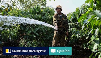 Opinion | Climate change threat is more than a storm in Vietnam’s coffee cup