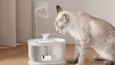 This TikTok-Viral Automatic Water Bowl Is Genius & Will Appease Demanding Pets
