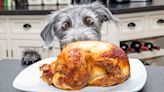 Can dogs eat turkey at Thanksgiving?