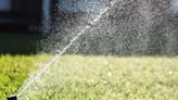 Tips to help your NJ lawn look its best | Gardener State