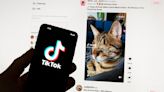 TikTok bows to European pressure and halts reward feature on new app in France and Spain