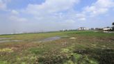 NGT impleads real estate developer in case against construction of road on Perumbakkam wetland