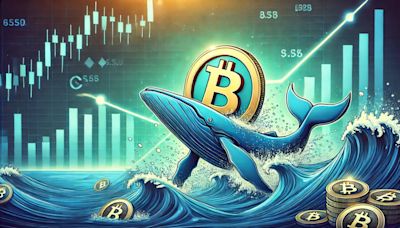 Whales Bet Big on Bitcoin: Is This the Perfect Buy Opportunity? - EconoTimes