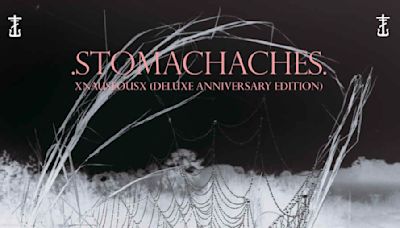 My Chemical Romance' s Frank Iero Expands 'Stomachaches' For 10th Anniversary