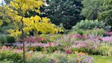 Muskego gardener lets nature take the lead for 1.25-acre backyard gardens