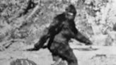 Bigfoot With 'Weird Smell' Leads to Latest Claim of Proof