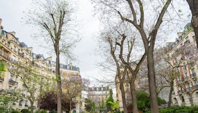 Marilou Berry : immersion dans son appartement du 18ème arrondissement parisien (et découvrez ses spots du quartier où vous pouvez la croiser)