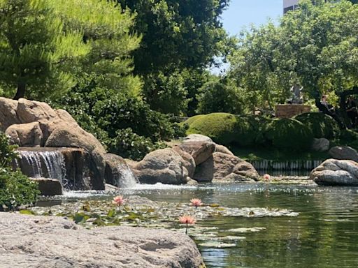 Rediscover Arizona: Zone-in on your zen at Phoenix's Japanese Friendship Garden