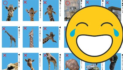 日本「動物證件照」超鬧！長頸鹿被卡頭「烏龜竟然是這個」？